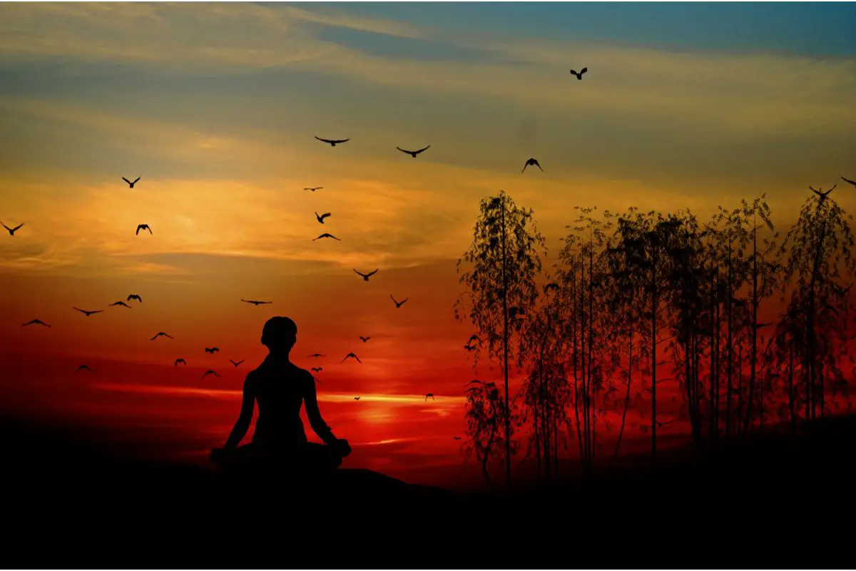 Cultural Influences Shape the Evolution of Meditation Practice