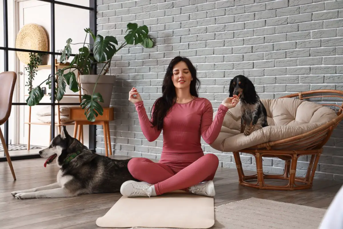 Dog Meditation: Pet Benefits and Techniques to Meditate with your Dog